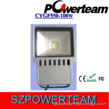 Unique Design LED Flood Light 100W,100Lm/W
